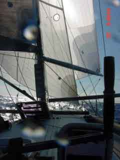 Downwind with a large spinnaker and a staysail