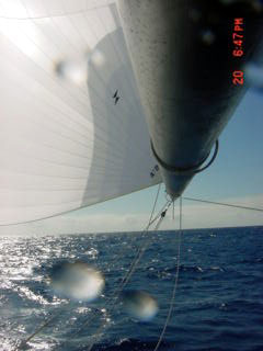 The Pegasus huge 38ft spinnaker pole