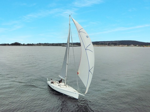Custom Pegasus Racing J/100 for Sale